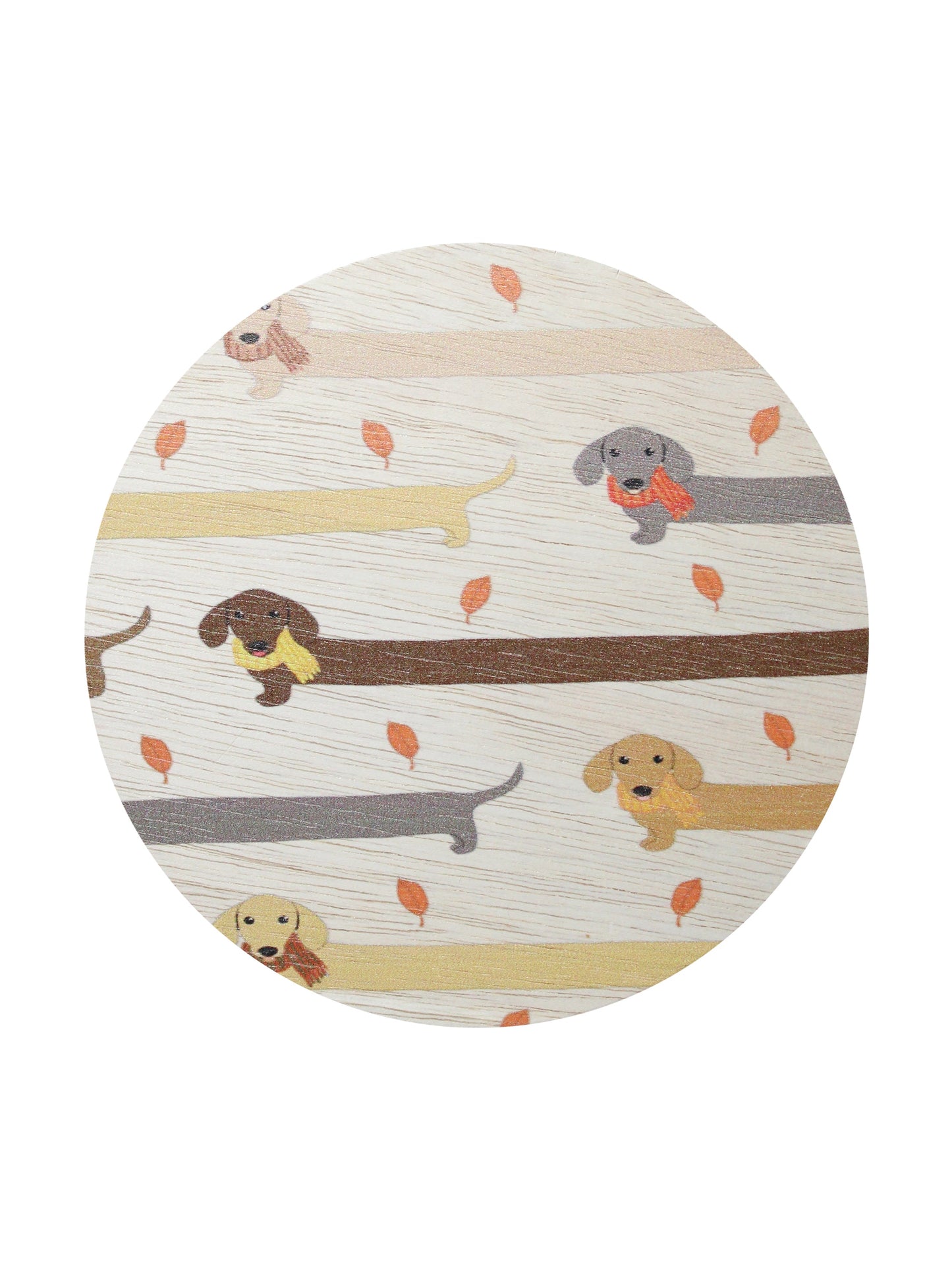 Sand + Paws Apple Cider 12 oz scented candle