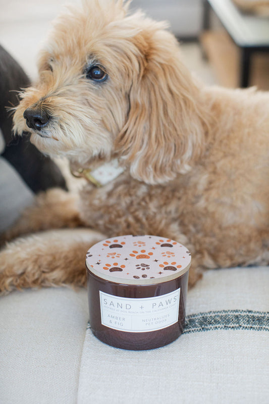Sand + Paws Amber & Fig 12 oz scented candle