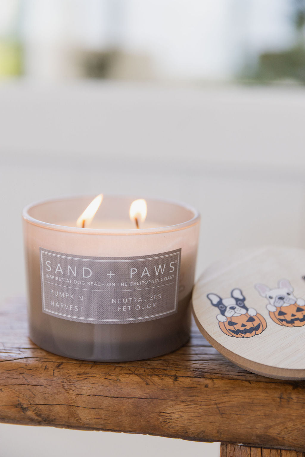 Sand + Paws Pumpkin Harvest 12 oz scented candle