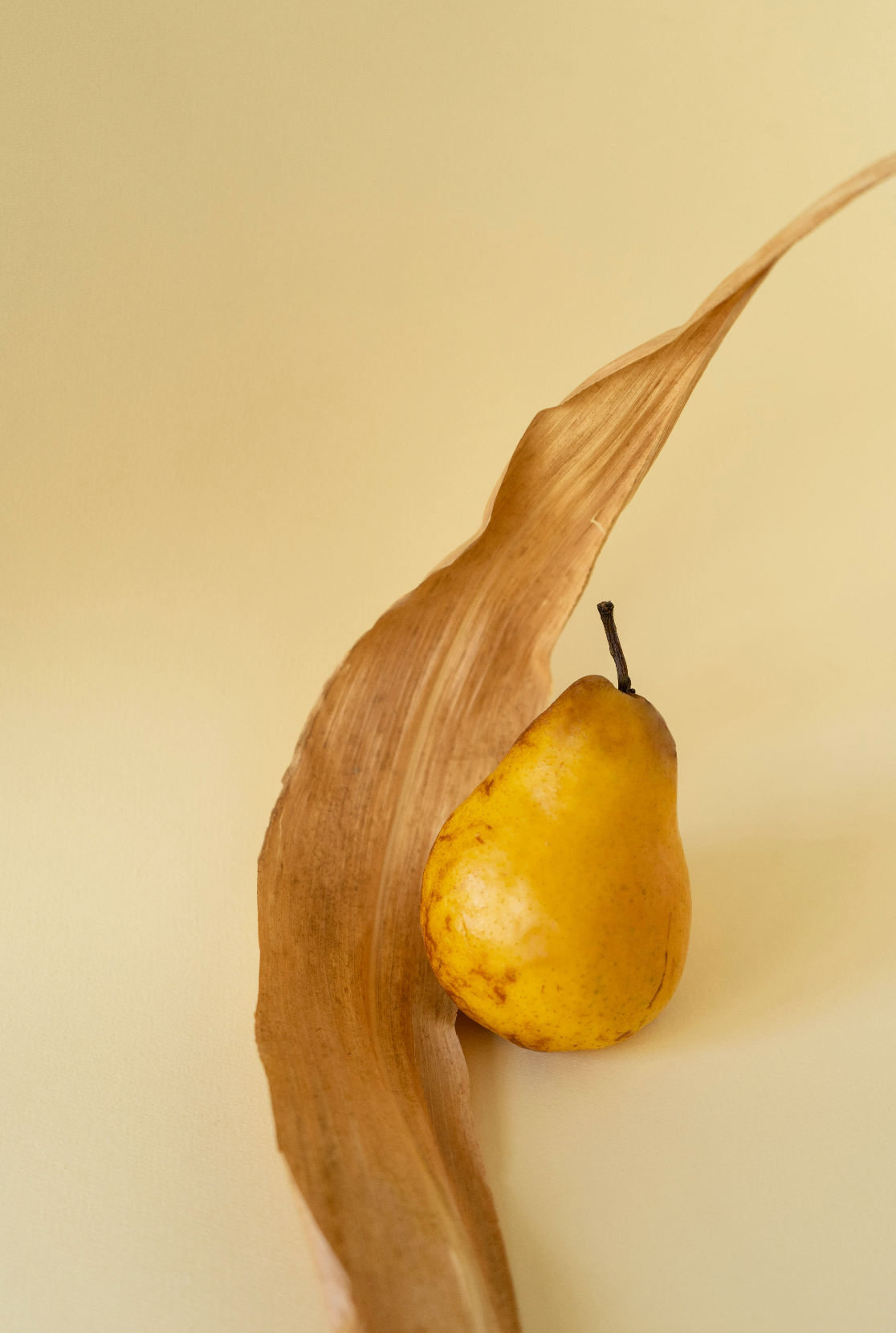 Amber Musk 50ml Perfume Oil Rollerball