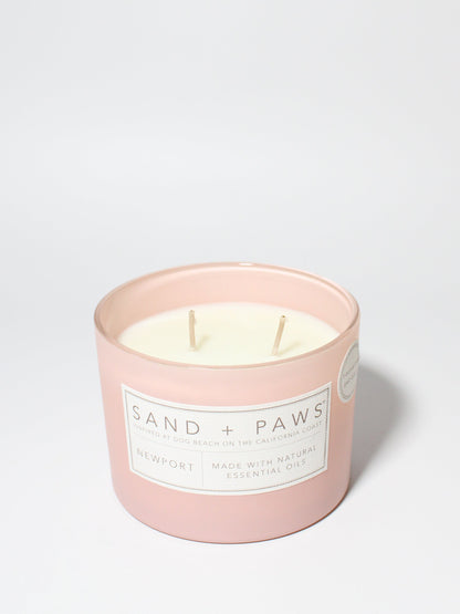 Sand + Paws Newport 12 oz scented candle Peony vessel with Painted Dog Bone lid
