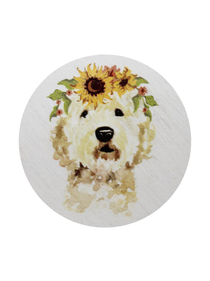 Sand + Paws Mango Tangerine 12 oz scented candle