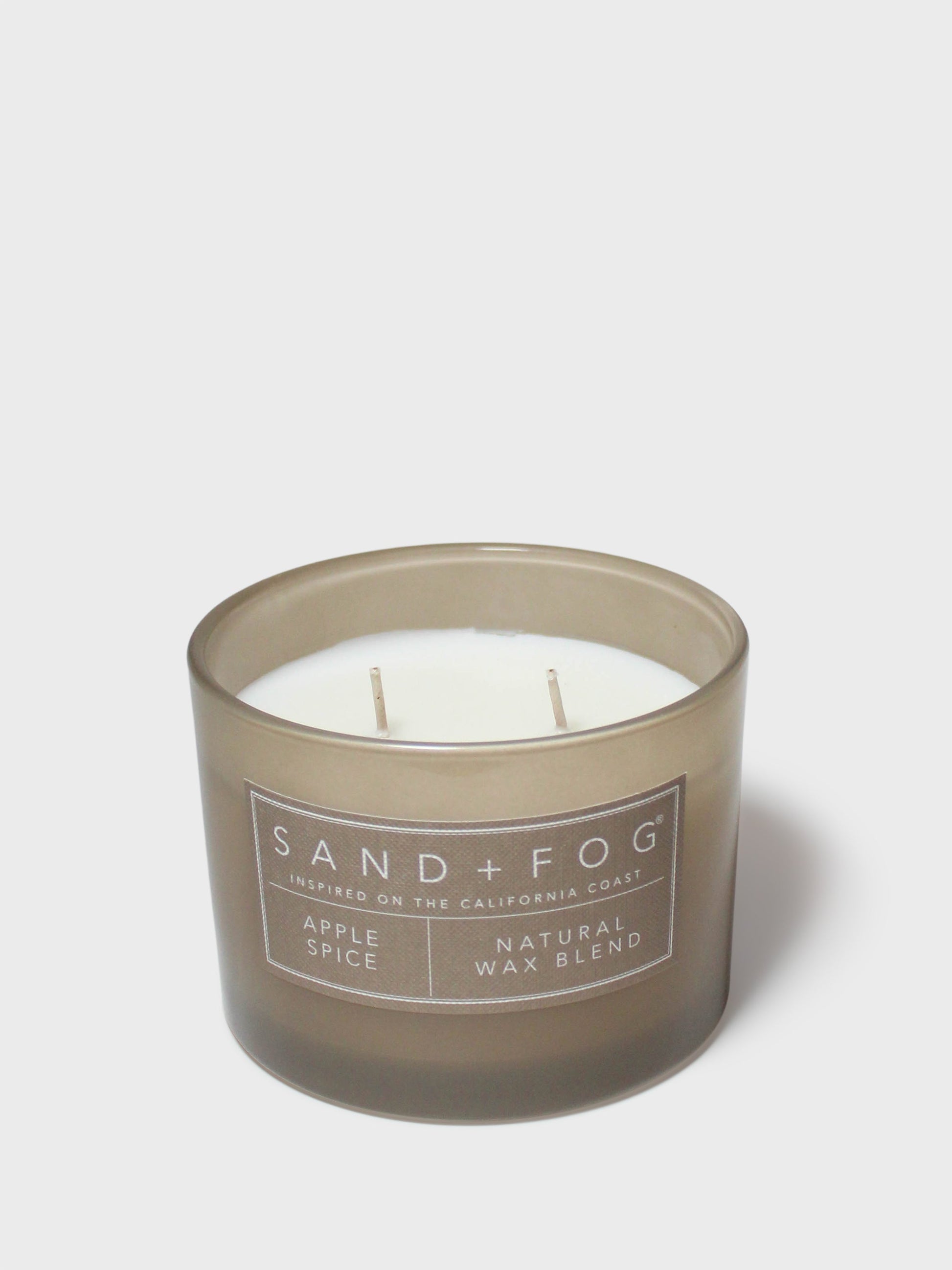 Apple Spice 12 oz scented candle