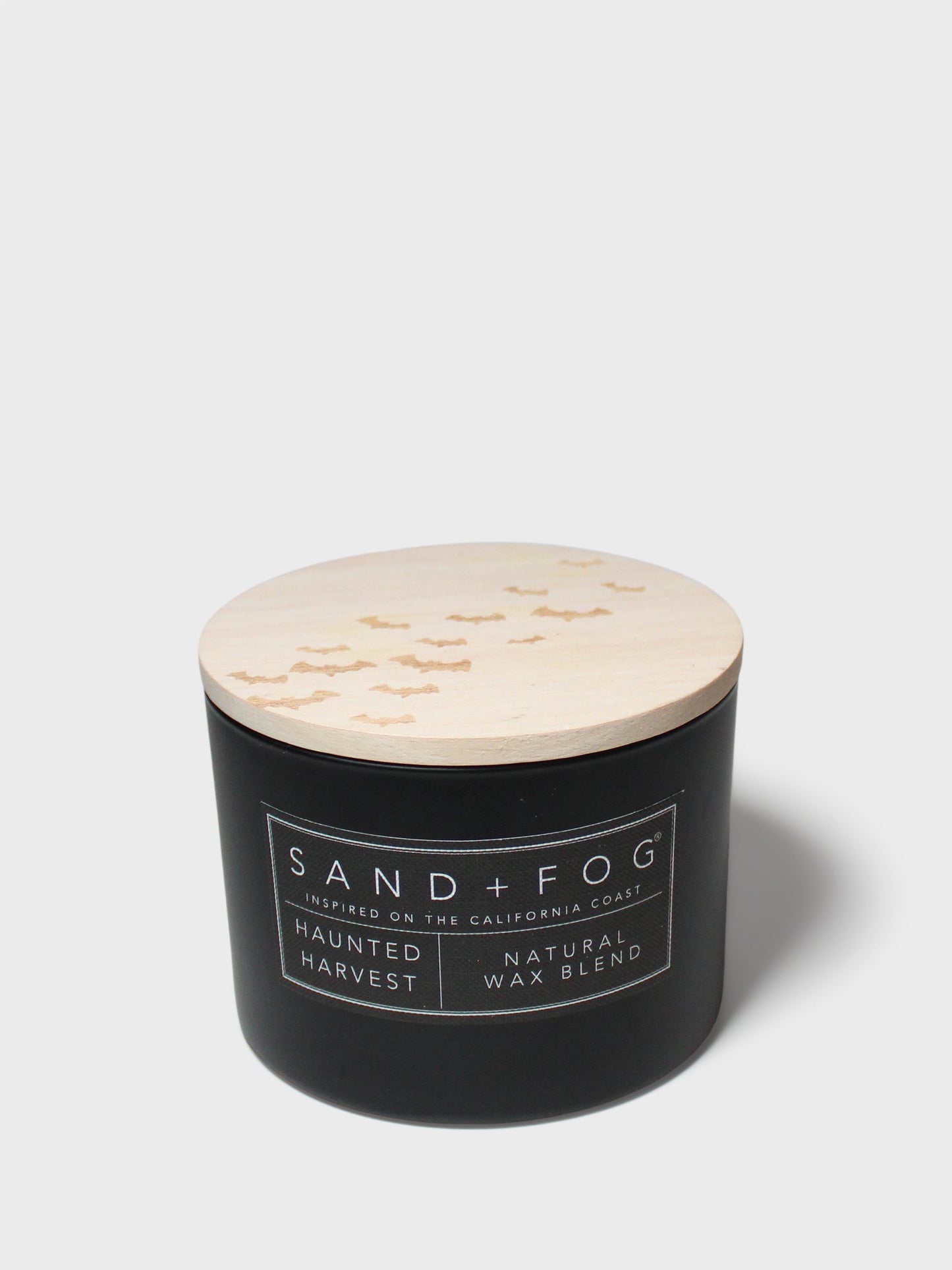 Haunted Harvest 12 oz scented candle