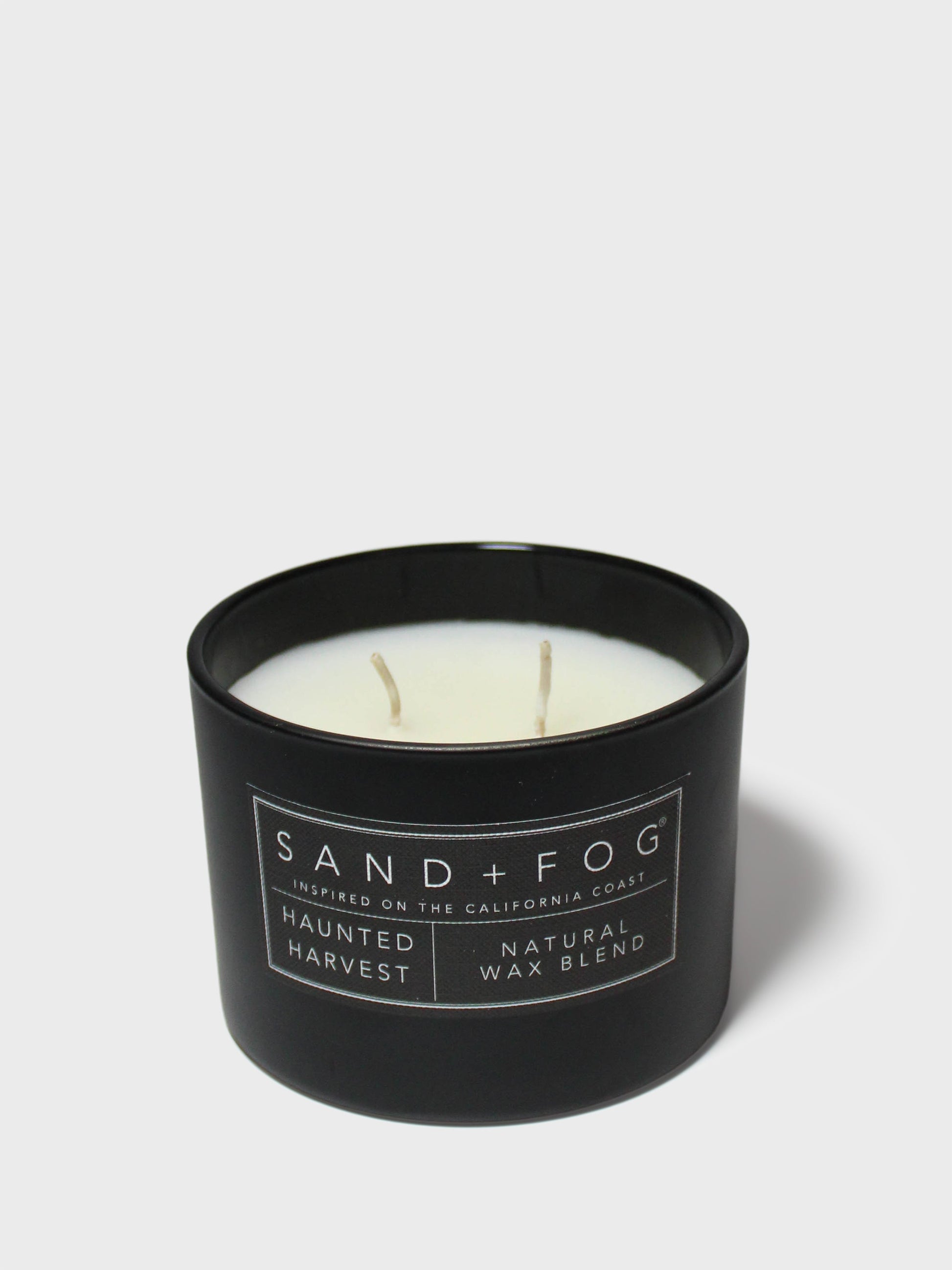 Haunted Harvest 12 oz scented candle