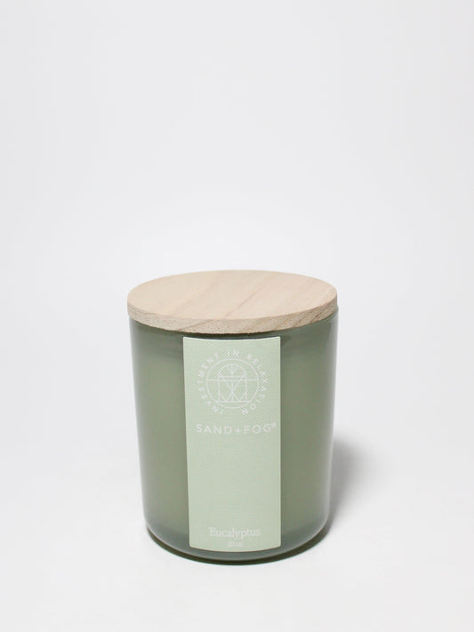 Eucalyptus 10 oz scented candle
