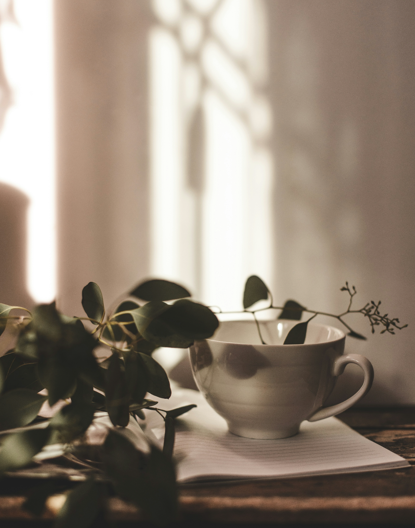 Eucalyptus Mint 100 ml Fragrance Diffuser Oil