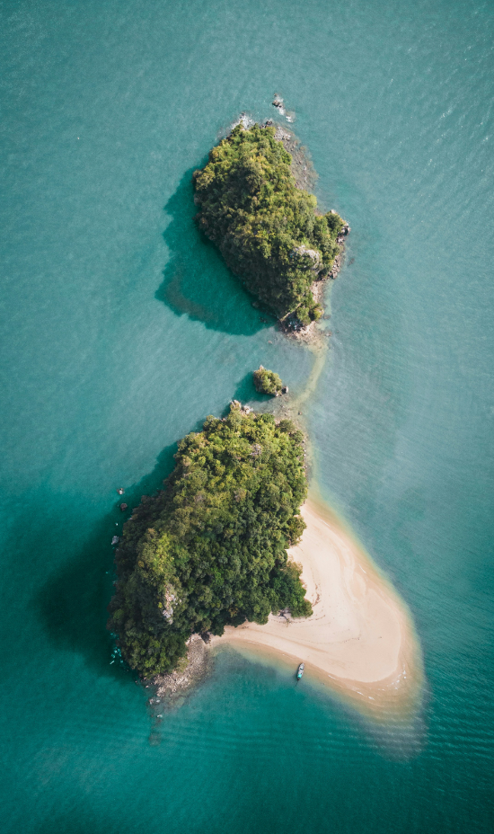 Sand + Paws Island Breeze 12 oz scented candle