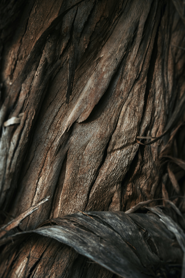 Vanilla Sandalwood 15.7 oz Liquid Hand Soap