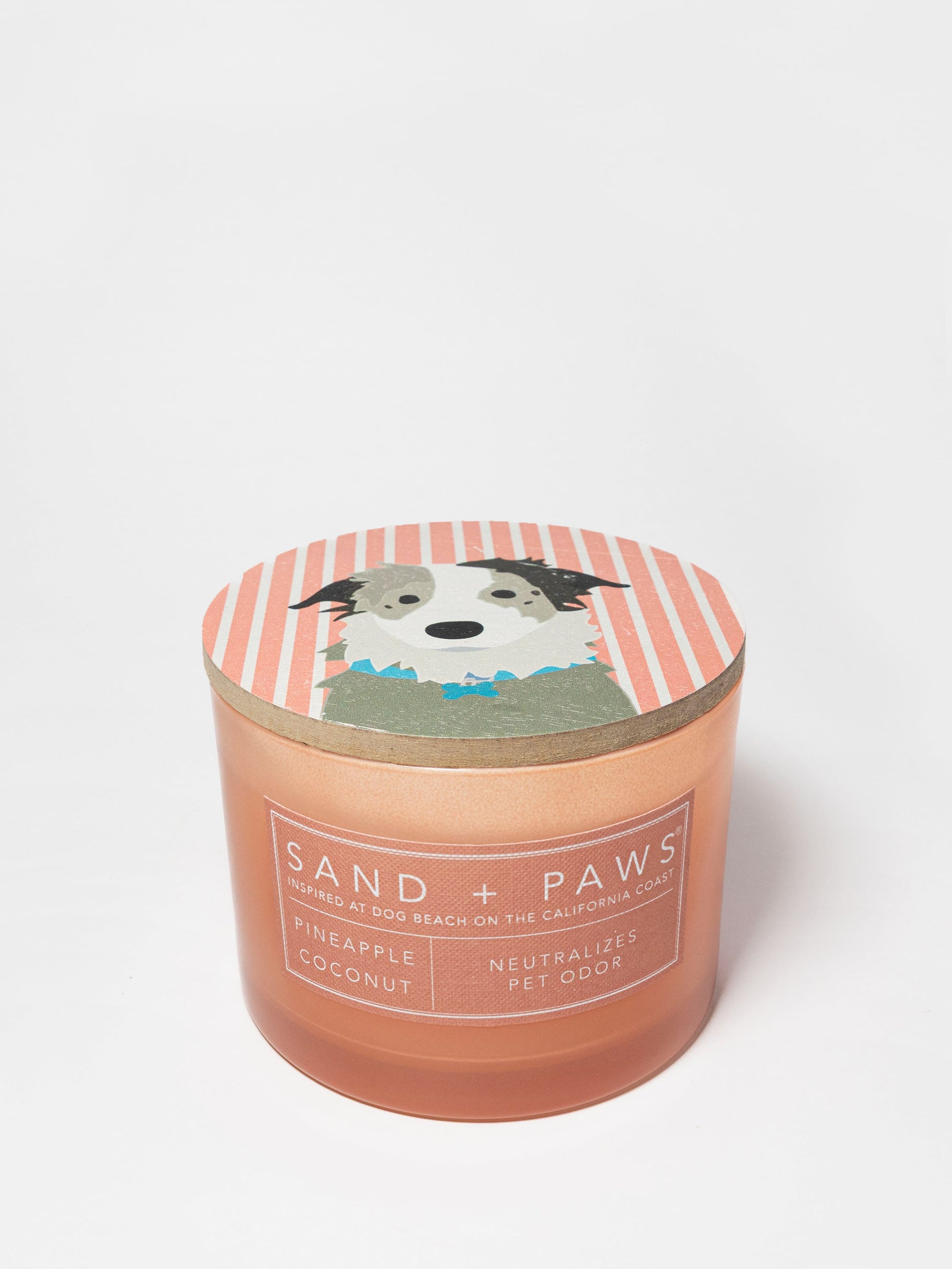 Sand + Paws Pineapple Coconut 12 oz scented candle