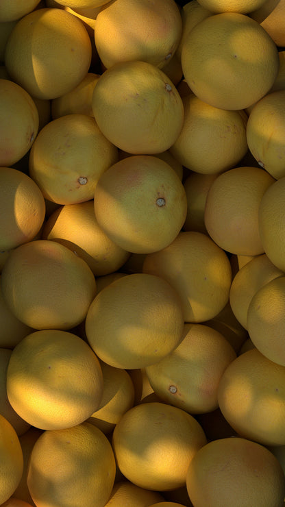 Autumn Citrus 12 oz scented candle