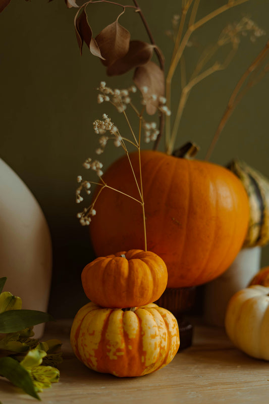 Pumpkin Coconut 21 oz scented candle