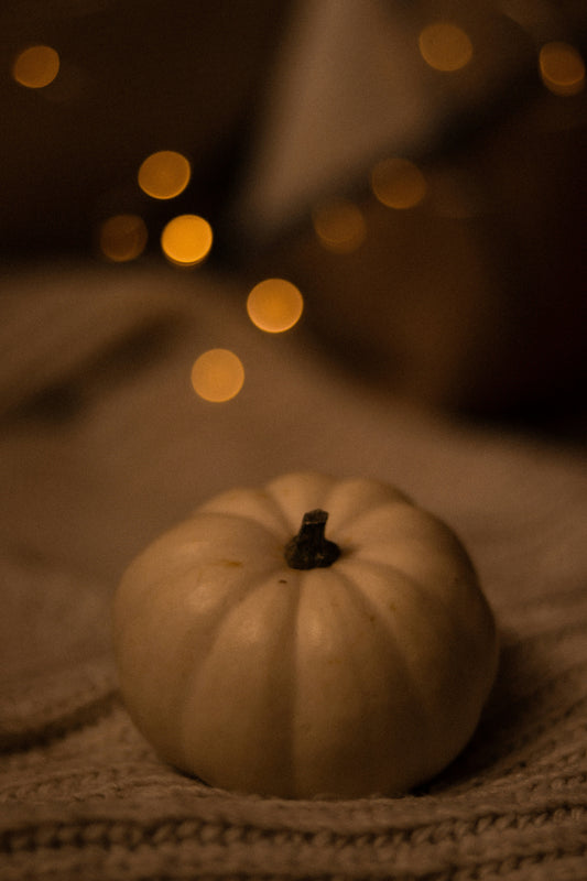 Pumpkin & Vanilla 12 oz scented candle